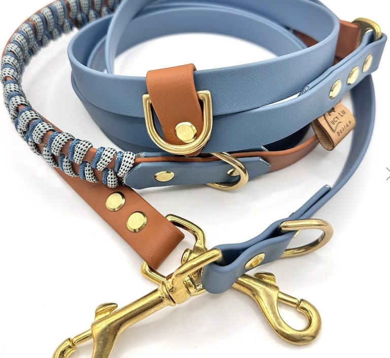 Dog leashed dog collars